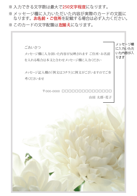 特殊メッセージカード No：F1006-035