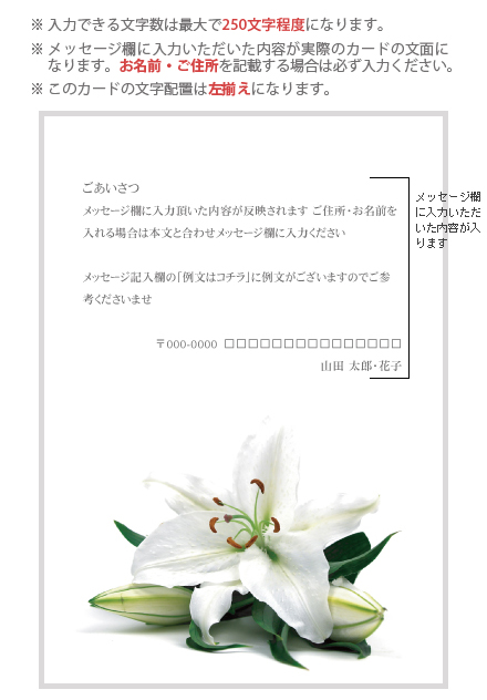 特殊メッセージカード No：F1006-028