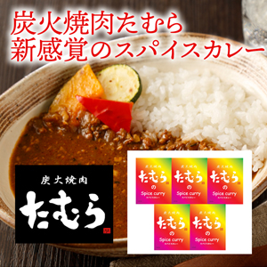 炭火焼肉たむら 新感覚のスパイスカレー【rm19p17001127】【簡易包装】