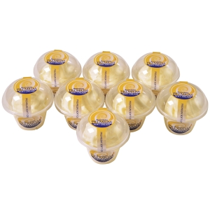 【メーカー直送】北海道「十勝ドルチェ」 橋本牧場 プレミアムソフト 5000154【rm26011fcd050】