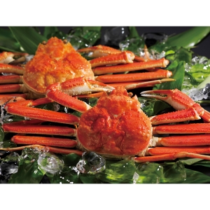 【メーカー直送】ボイルずわいがに姿2尾（40） 400＊2【rm26021fcd029】