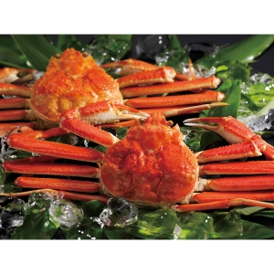 【メーカー直送】ボイルずわいがに姿2尾（50） 500＊2【rm26021fcd030】