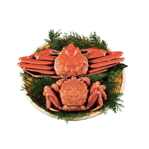 【メーカー直送】ずわいがに毛がに2尾セット 5035【rm26021fcd078】