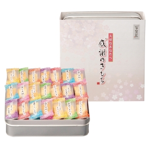 百菓匠まえだ 感謝のきもち OTN-20【rm26047fcd080】