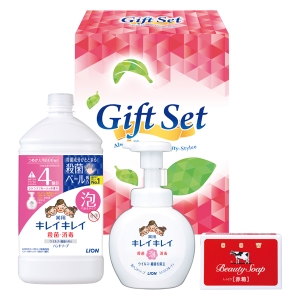 きちんとキレイギフト GKL-20【rm26072fcd062】