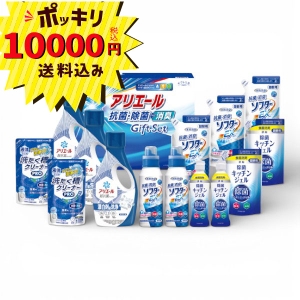 【10000円ポッキリ 送料無料】ギフト工房 アリエール抗菌除菌ギフト GPS-100H【rm26c116gc072】