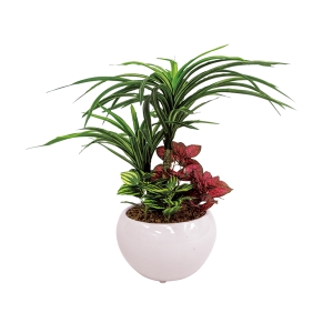 【メーカー直送 北海道・沖縄・離島別途送料】SC触媒加工 トロピカル寄せ植えポットユッカ(フェイクグリーン) FG1001【rm26c195gc040】