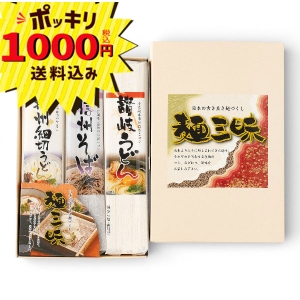 【1000円ポッキリ 送料無料】麺三昧 MYJG-100【rm268120c12】