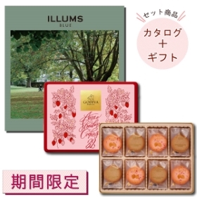ボダム ピラトゥス ダブルウォールグラス 250mL＆ビームスカタログギフト BEAMS CATALOG GIFT brown 10800