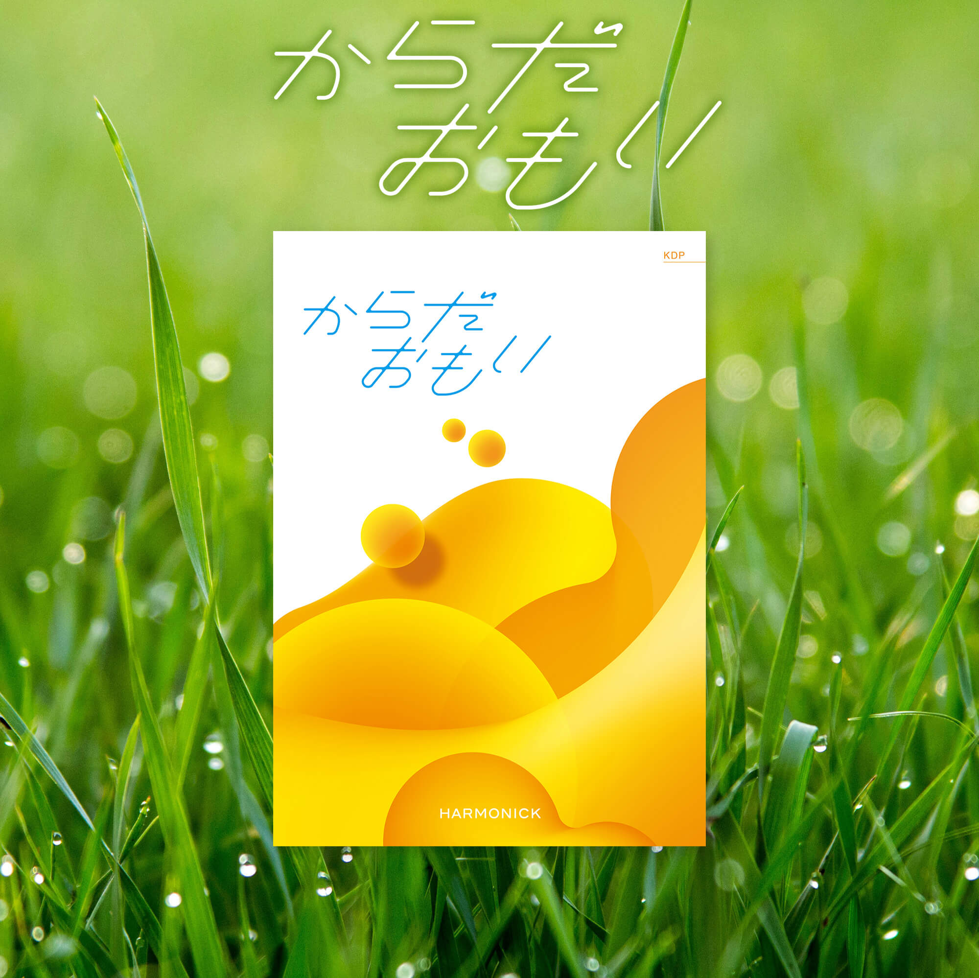ALA GOURMET アラグルメ ードタイプ